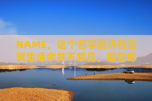 NAME,这个名字或许在日常生活中并不常见,但它却在某些领域里扮演着重要的角色。今天,让我们一起来探索这个名字背后的故事和意义